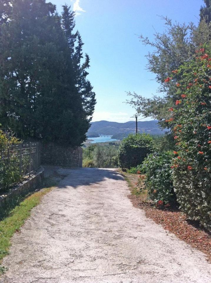 갈리아노 Agriturismo Il Palazzaccio 빌라 외부 사진