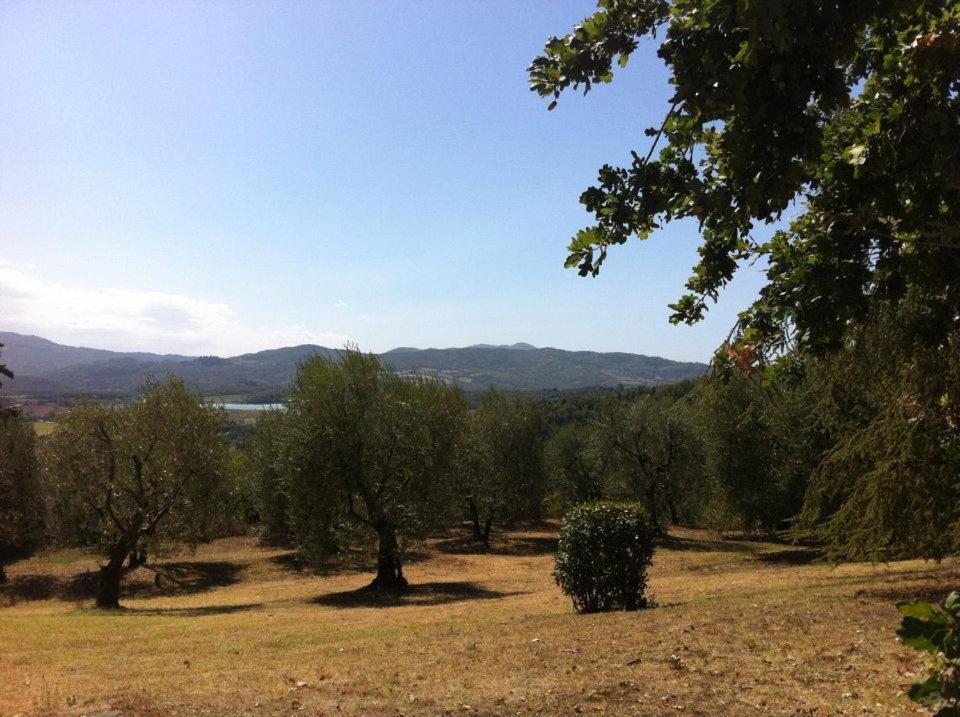 갈리아노 Agriturismo Il Palazzaccio 빌라 외부 사진